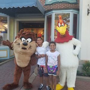 Meet your Posher, Bridget